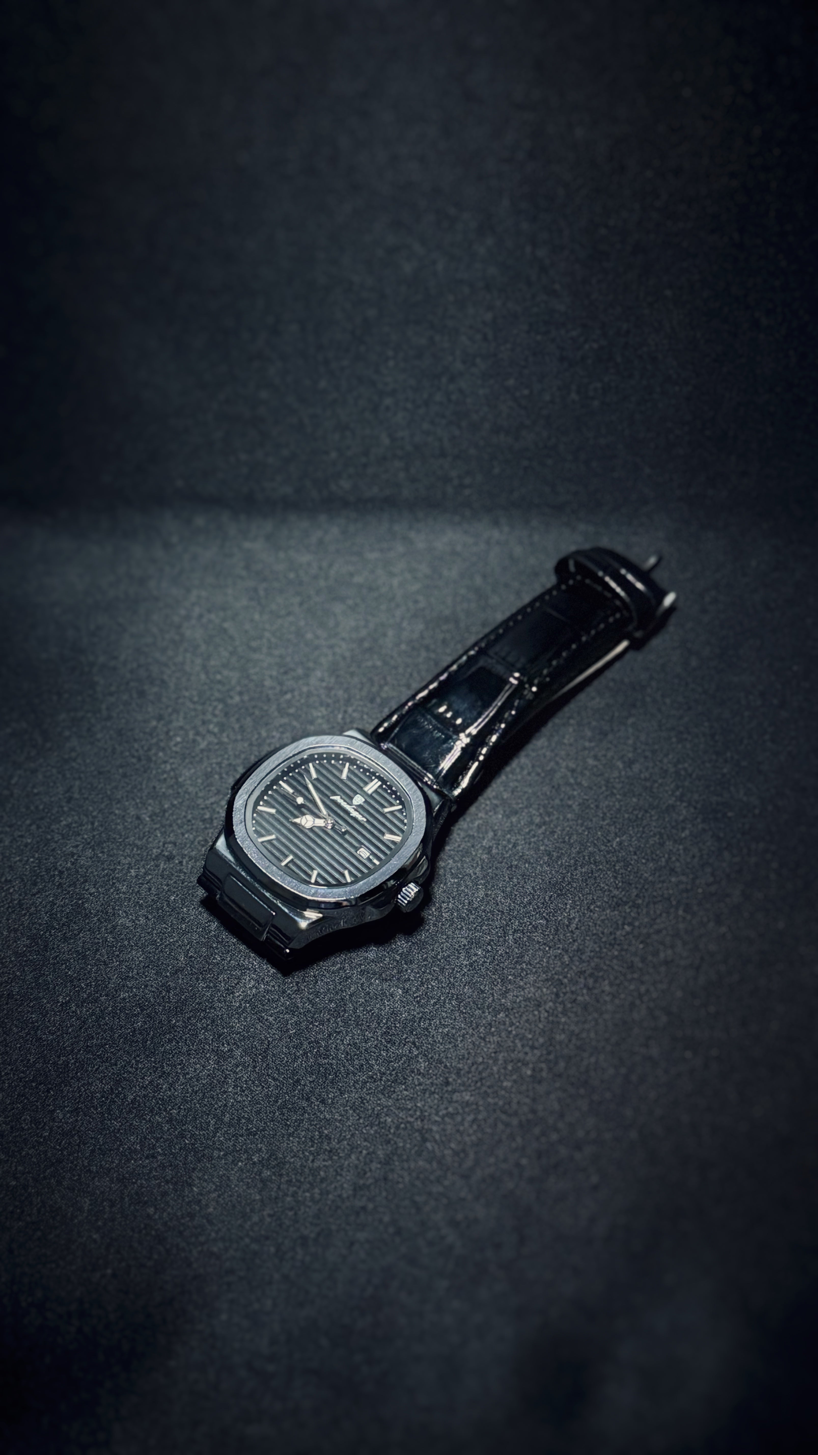 Reloj Poedagar Nautilus Cuero. Negro